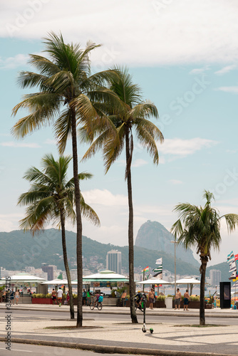 Palm trees on the sidewalk of Copacabana beach in Rio de Janeiro Brazil