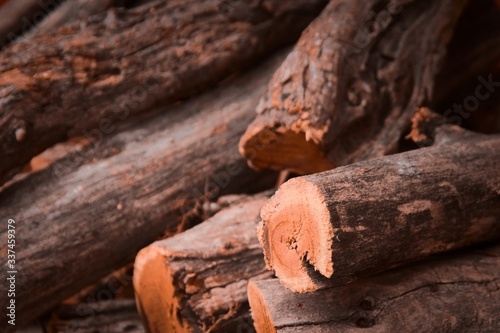 Wallpaper Mural Stack of logs for firewood. Rustic, countryside lifestyle background. Torontodigital.ca