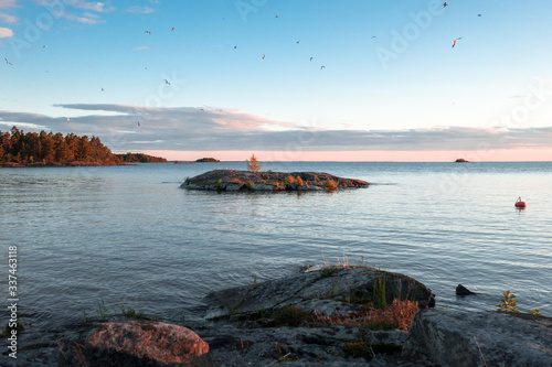 Small bird islet in Lake Vänern at sunset in summer
