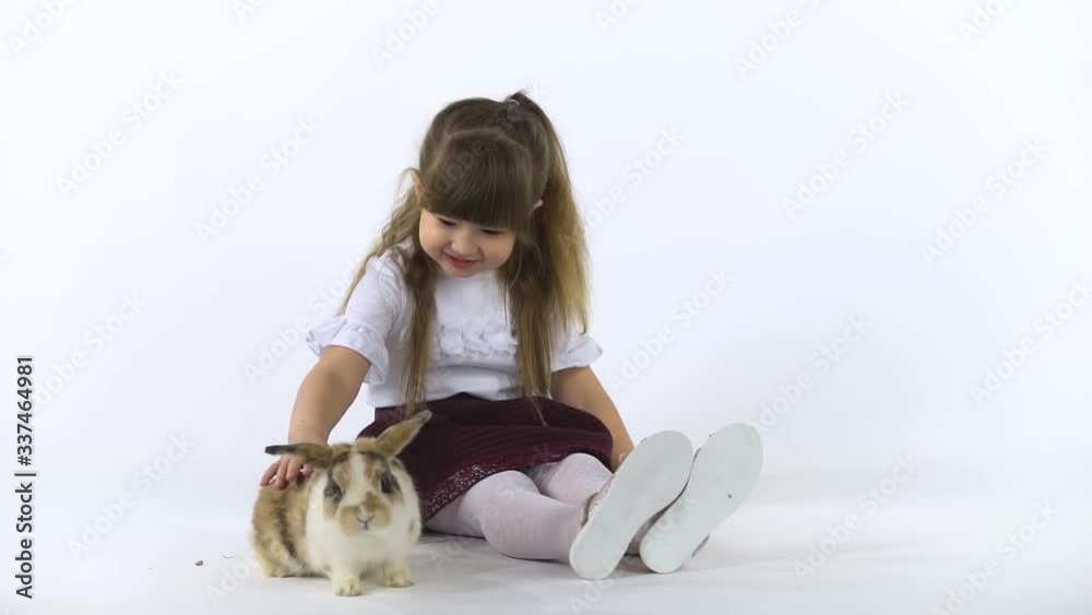 Cute child with fluffy three colored rabbit at white background. Happy childhood concept. Slow motion Cute child with fluffy three colored rabbit at white background. Happy childhood concept. Slow motion