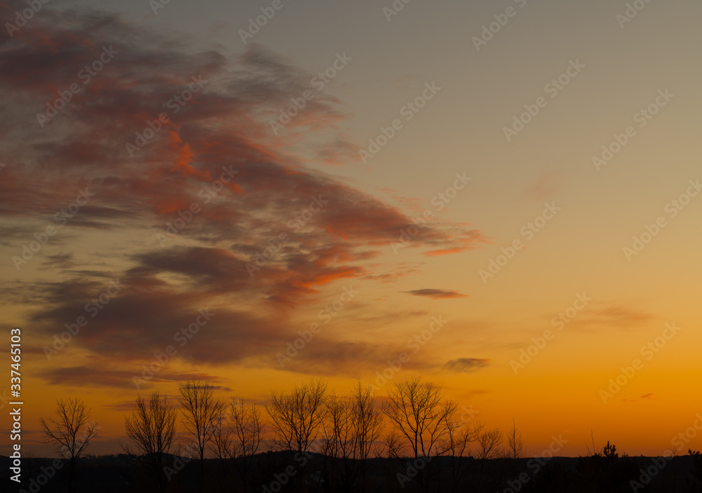 Sunset with Orange and Purple Wispy Clouds in Sky with Trees in Foreground Sunset with Orange and Purple Wispy Clouds in Sky with Trees in Foreground