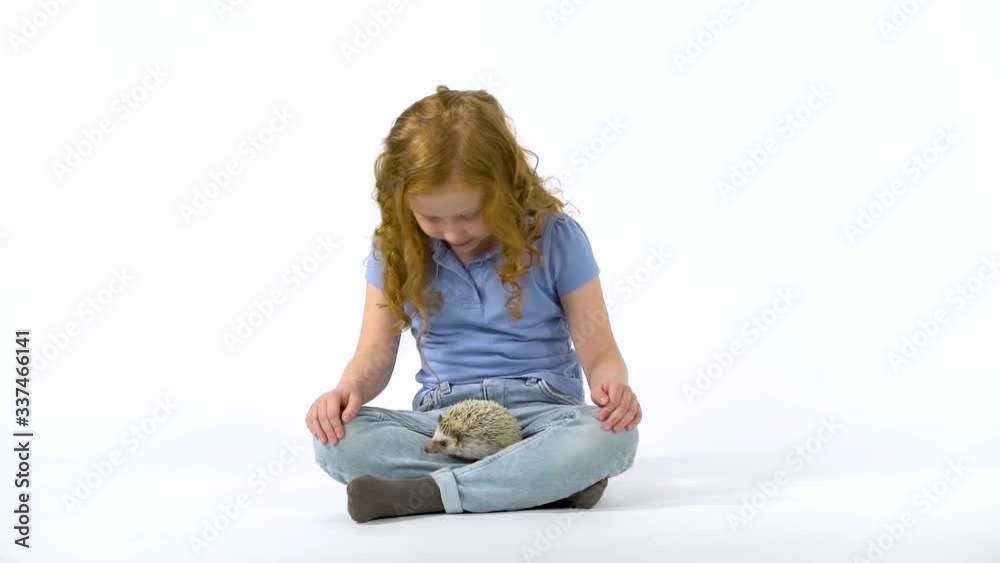 Redheaded little girl with curly hair is holding hedgehog at white background. Slow motion