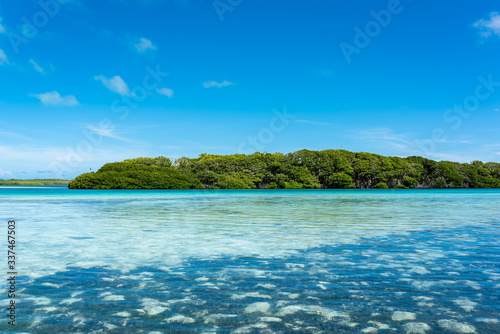 Tropical seascape with aquatic plants and crystalline water in Los Roques' Archipelago (Venezuela). © Giongi63