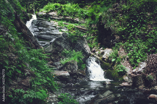 Mountain waterfall among stones  grass and ferns. Amazing forest landscape. Spring summer outdoor  trekking travel background. Mzymta river canyon  Sochi  Rosa Khutor  Russia. Local tourism concept