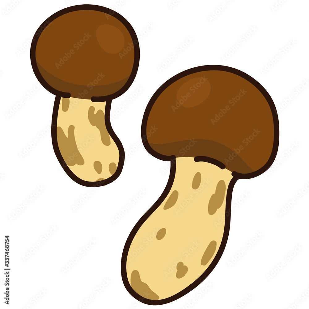 Fototapeta premium Illustration of outlined matsutake mushroom