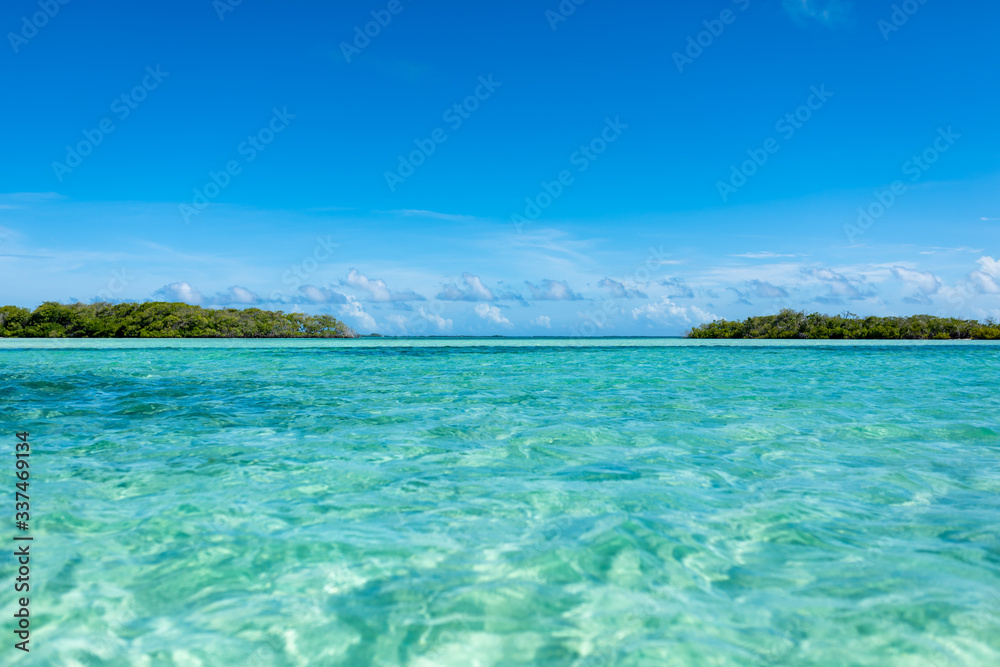 Tropical seascape with aquatic plants and crystalline water in Los Roques' Archipelago (Venezuela).