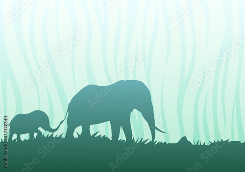 Photography Design of elephants family walking
