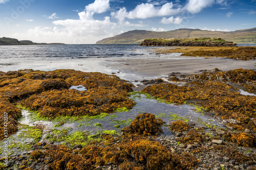 rocky coast of the isle of mull ,Scotland.