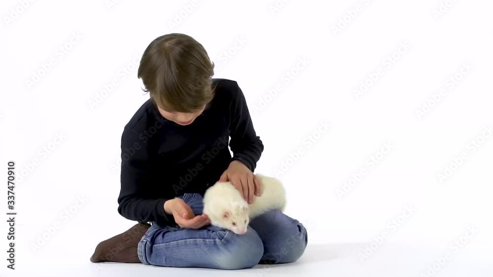 Brunet boy is holding and stroking albinos ferret furo with red eyes at white background. Slow motion. Brunet boy is holding and stroking albinos ferret furo with red eyes at white background. Slow motion.