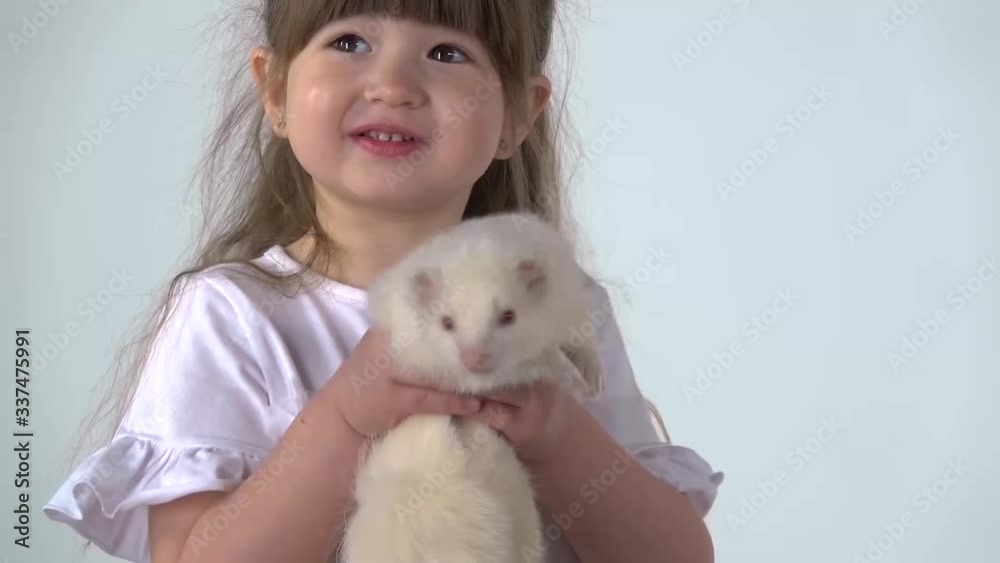 Cute child holding albinos ferret furo with red eyes at white background. Happy childhood concept. Slow motion. Close up Cute child holding albinos ferret furo with red eyes at white background. Happy childhood concept. Slow motion. Close up