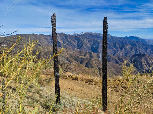 Trail sign damaged in wildfires in the mountains of Ojai, California photo