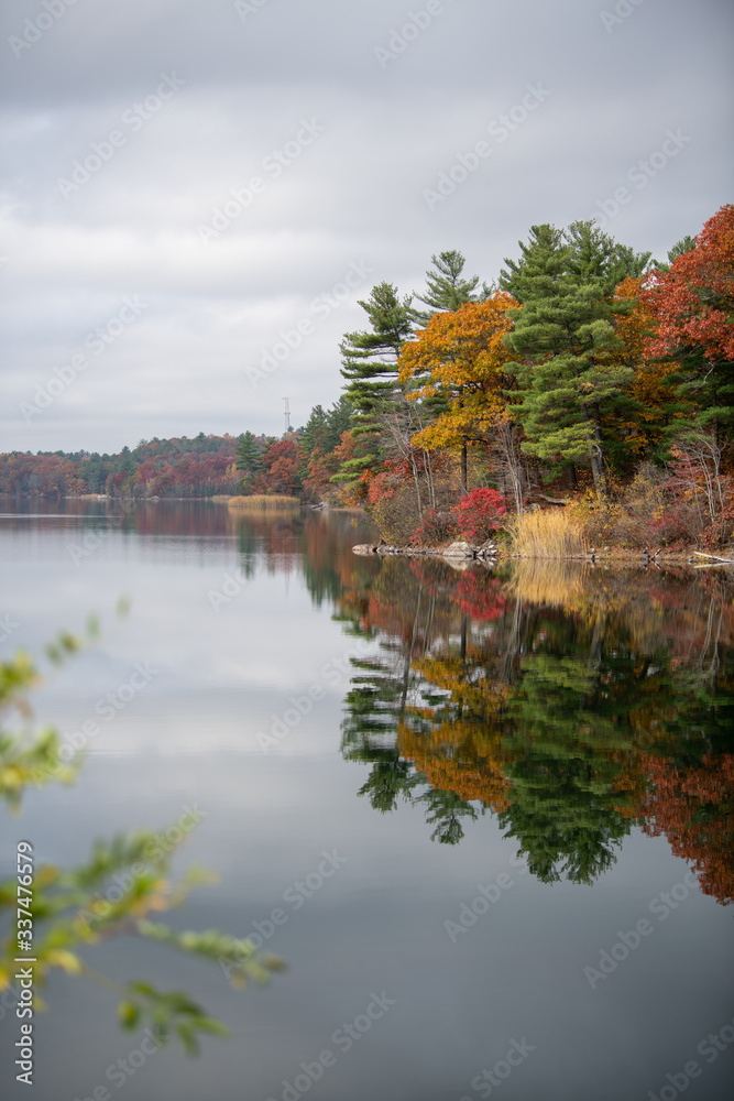 Fototapeta premium Fall color tour near Birch Pond in New England