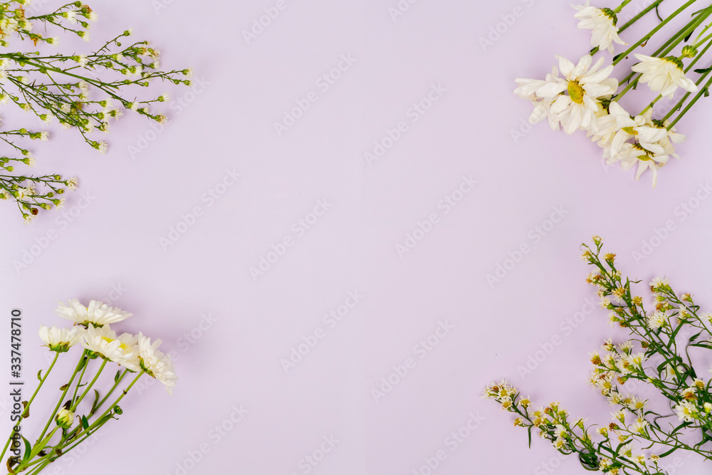 Fototapeta premium Flat lay of white daisy flower frame