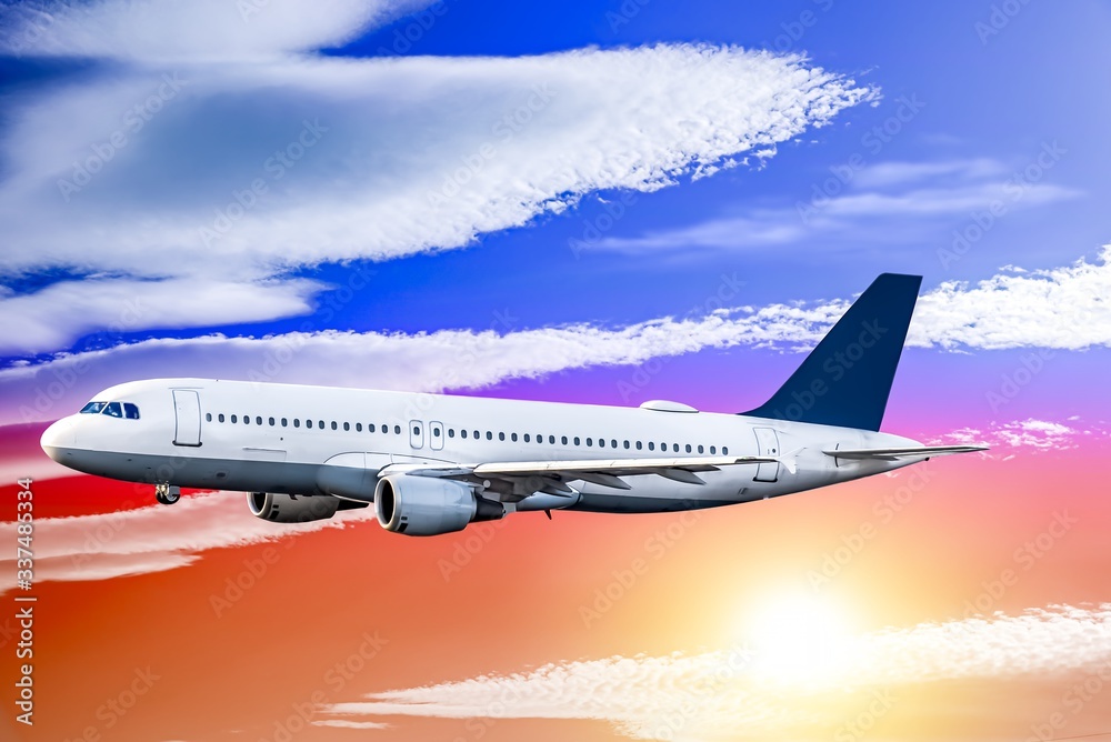 Obraz premium The passenger plane took off . Forwarding agent or delivery concept, aircraft. 