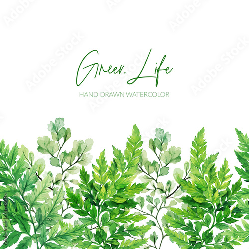 Watercolor green leaves, the ferns seamless border