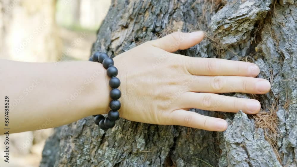Close-up of a woman's hand with a bracelet of black beads, which is carefully stroking the tree. The concept of protection of nature, saving the planet, saving the forests
