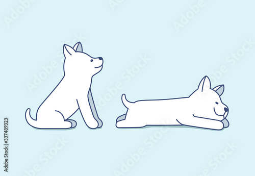 Set of the puppies of Siberian Husky sitting (waiting) and sleeping (lying). Cute small dogs.