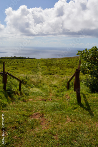 A view of green, grassy country side with old wooden fence 