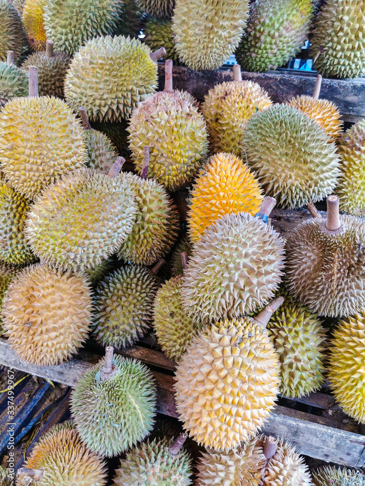 Durian Durian
