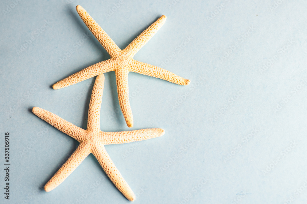 Summer concept with sea stars and shells Summer concept with sea stars and shells