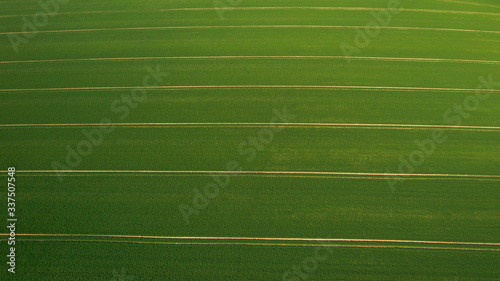 landscape with a green field and texturized tracks for farm technick