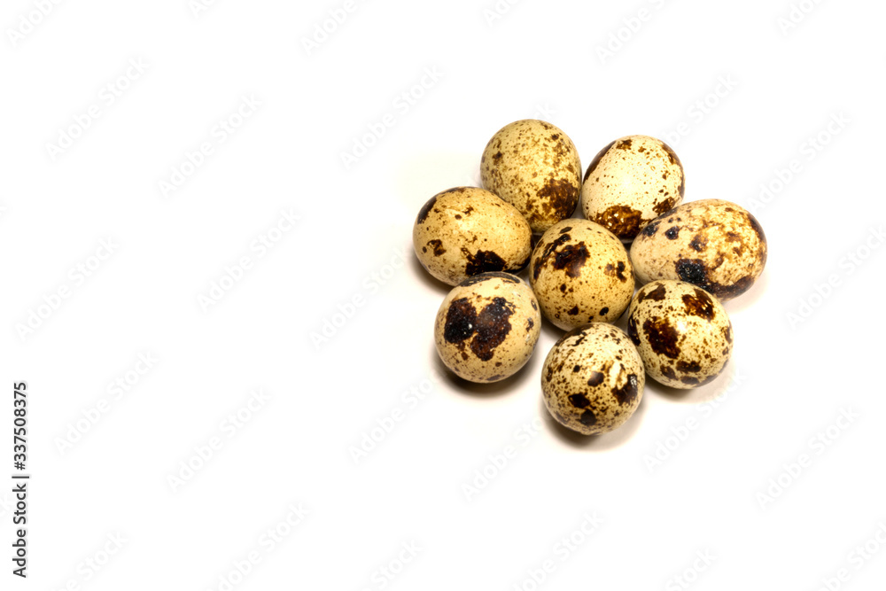 Closeup to quail eggs, isolated on white background. Considered a delicacy in many parts of the world. Closeup to quail eggs, isolated on white background. Considered a delicacy in many parts of the world.