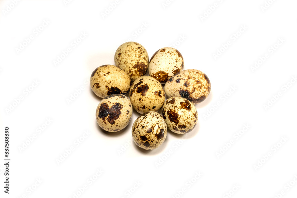 Closeup to quail eggs, isolated on white background. Considered a delicacy in many parts of the world.