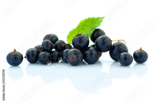 Black currant fruits isolated on white background