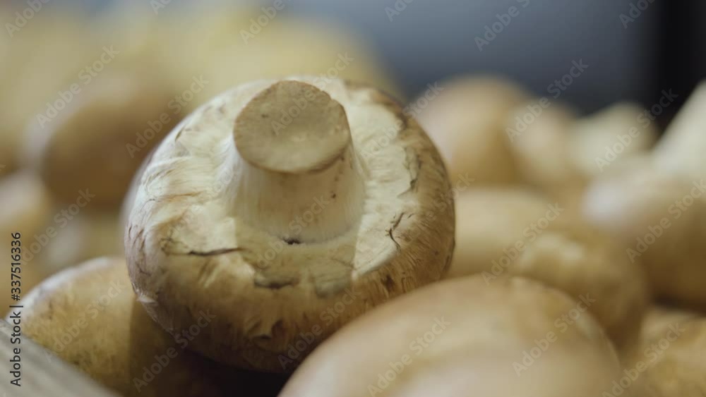 Extreme close-up of champignons in grocery store. Fresh mushrooms lying on the shelf in retail shop. Healthy eating, organic food, dieting. Extreme close-up of champignons in grocery store. Fresh mushrooms lying on the shelf in retail shop. Healthy eating, organic food, dieting.