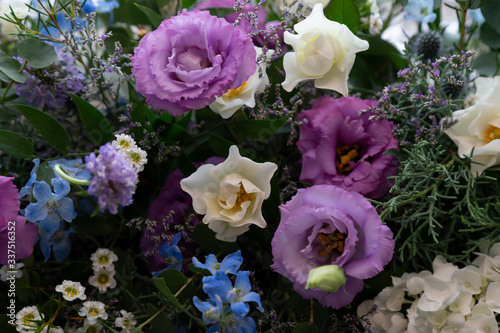 flowers in the garden