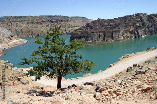 One tree in Firat River (Euphrates River) and Abandoned Castle (Rum Kale) in Halfeti, Gaziantep, Turkey. photo