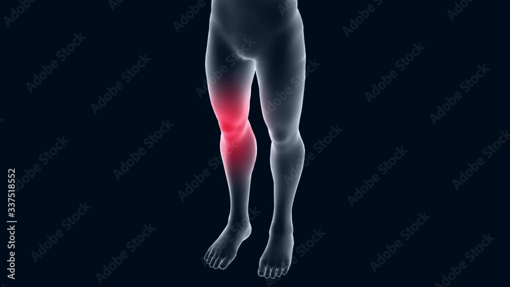 3d animation human body, healthcare and medical topics. 3d animation human body, healthcare and medical topics.