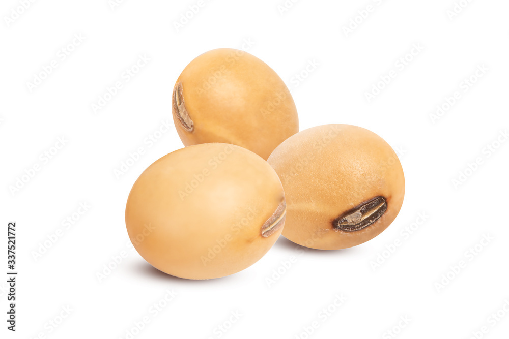 Close up Soy beans isolated on white background. Close up Soy beans isolated on white background.