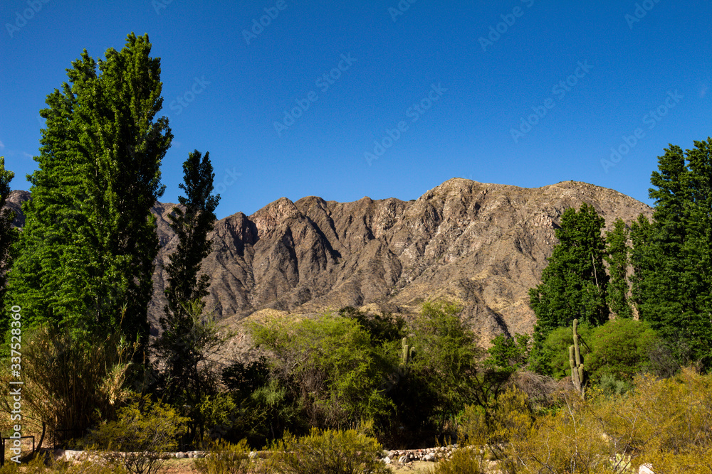 Andes mountains. Mountainous system of the Argentine Republic.