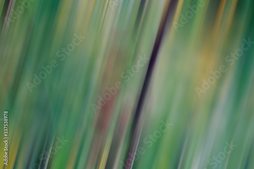 Abstract and background