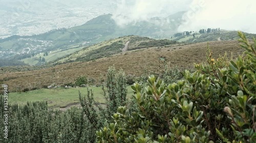Quito city panorama with green bush in foreground from shot from top of mountain and cloudy day, Equador