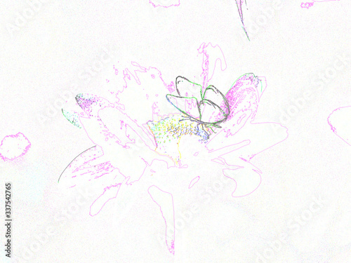 blumen abbildung
