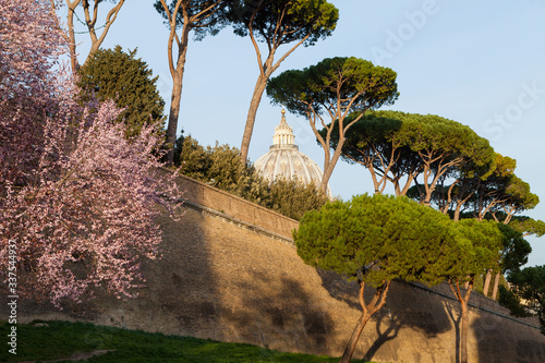 Walls of Vatican City and the dome of the Papal Basilica of St. Peter. Rome, Italy photo