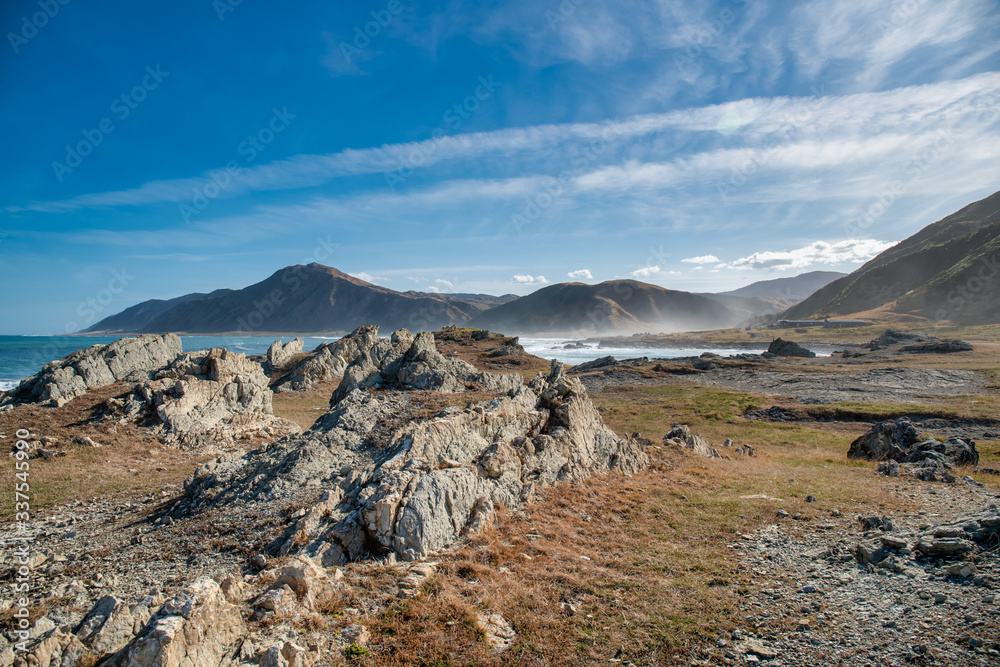 The rugged rocky coastline and surrounding hills of the sheep station at the South Wairarapa coastline The rugged rocky coastline and surrounding hills of the sheep station at the South Wairarapa coastline
