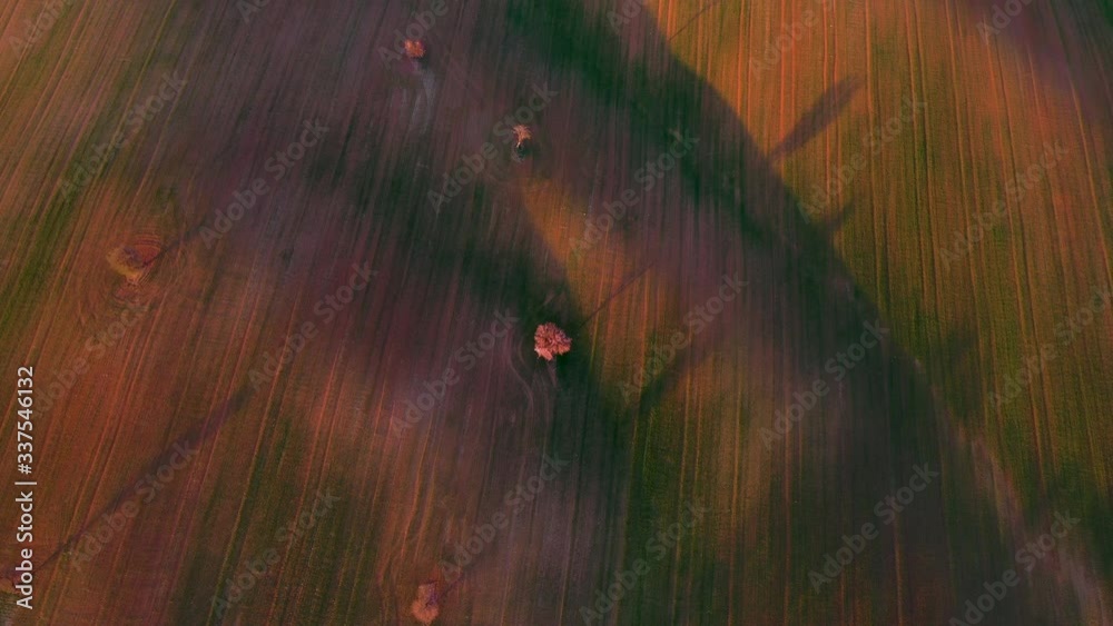 Aerial view from a drone of cereal fields in the province of Toledo, Autonomous Community of Castilla La Mancha, Spain, Europe