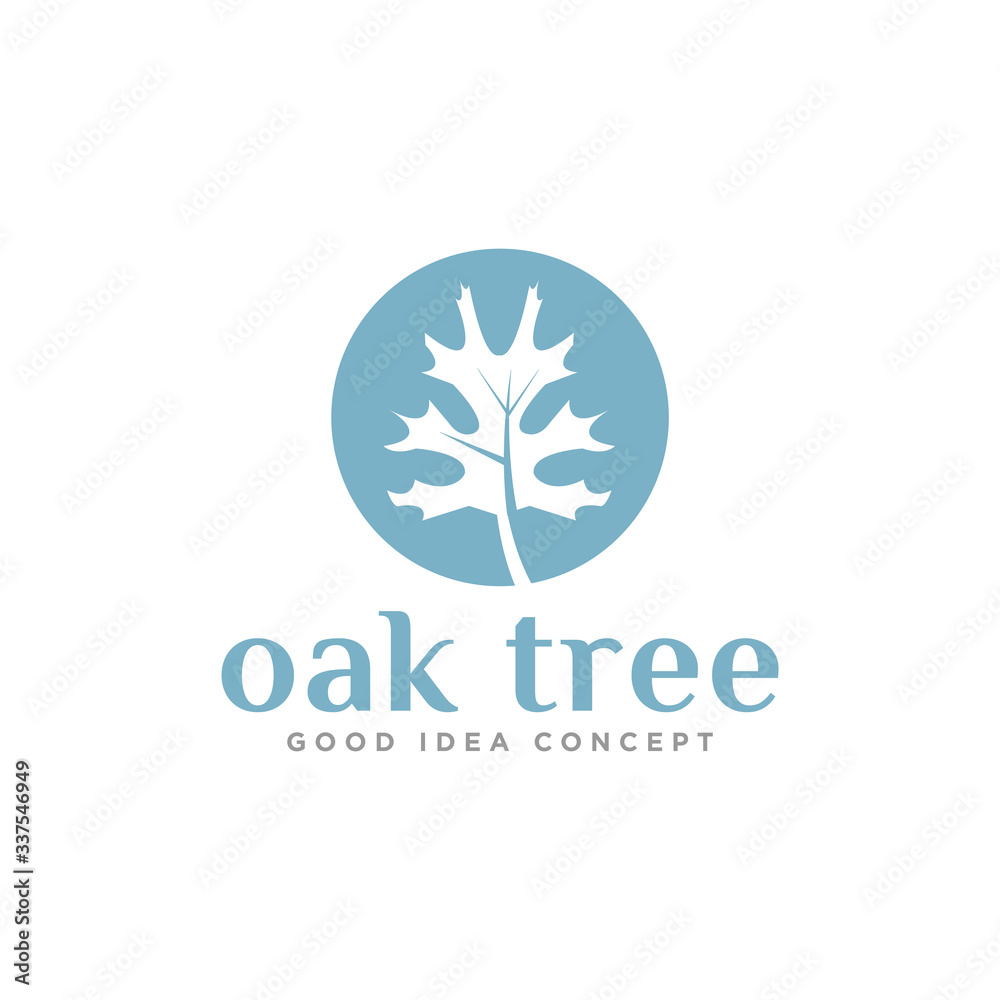 Oak Leaf Logo Design Vector Oak Leaf Logo Design Vector