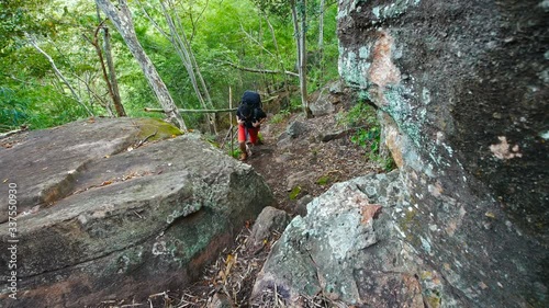 hiker man climbing up in the forest