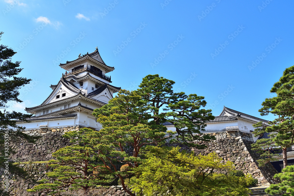 Fototapeta premium 日本100名城 春の高知城