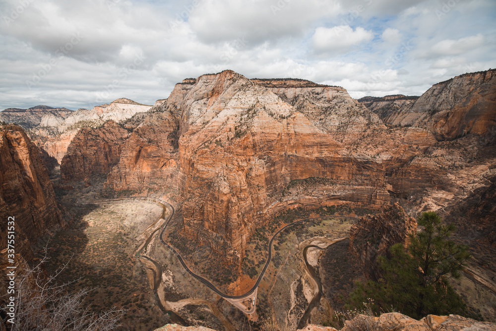 Obraz premium Zion Nationalpark