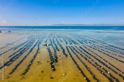 Aerial view of seaweed farm at My Hiep, Phan Rang, Vietnam photo