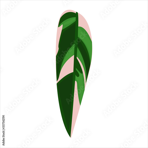 Botanical leaf clip art natural illustration