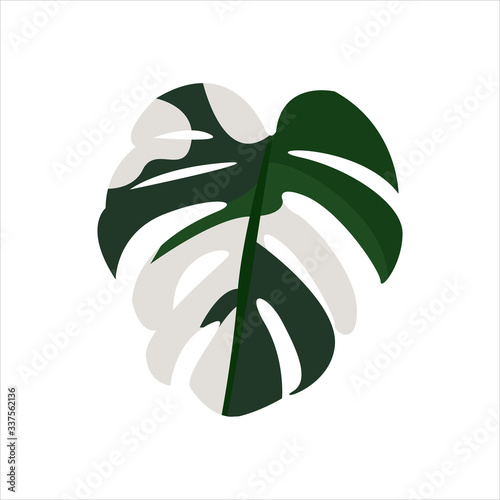 Botanical leaf clip art natural illustration
