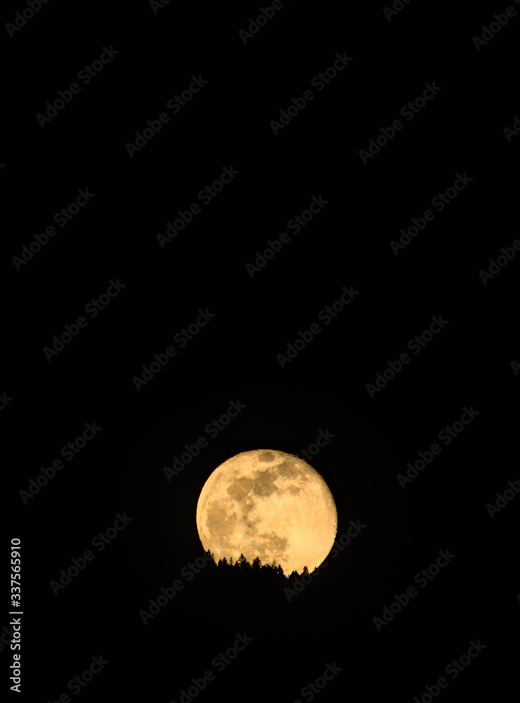 Obraz premium Moon rises in Aspen