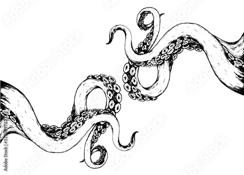 hand drawn vector illustration of a tentacles  photo