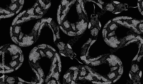 Snack skin on black background 